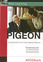 PIGEON