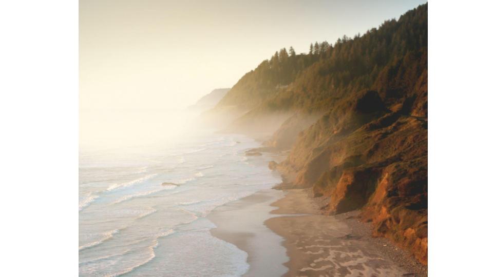 photograph of a misty ocean shore, soft waves rolling onto a beach, and tree-covered cliffs rising up from the shore